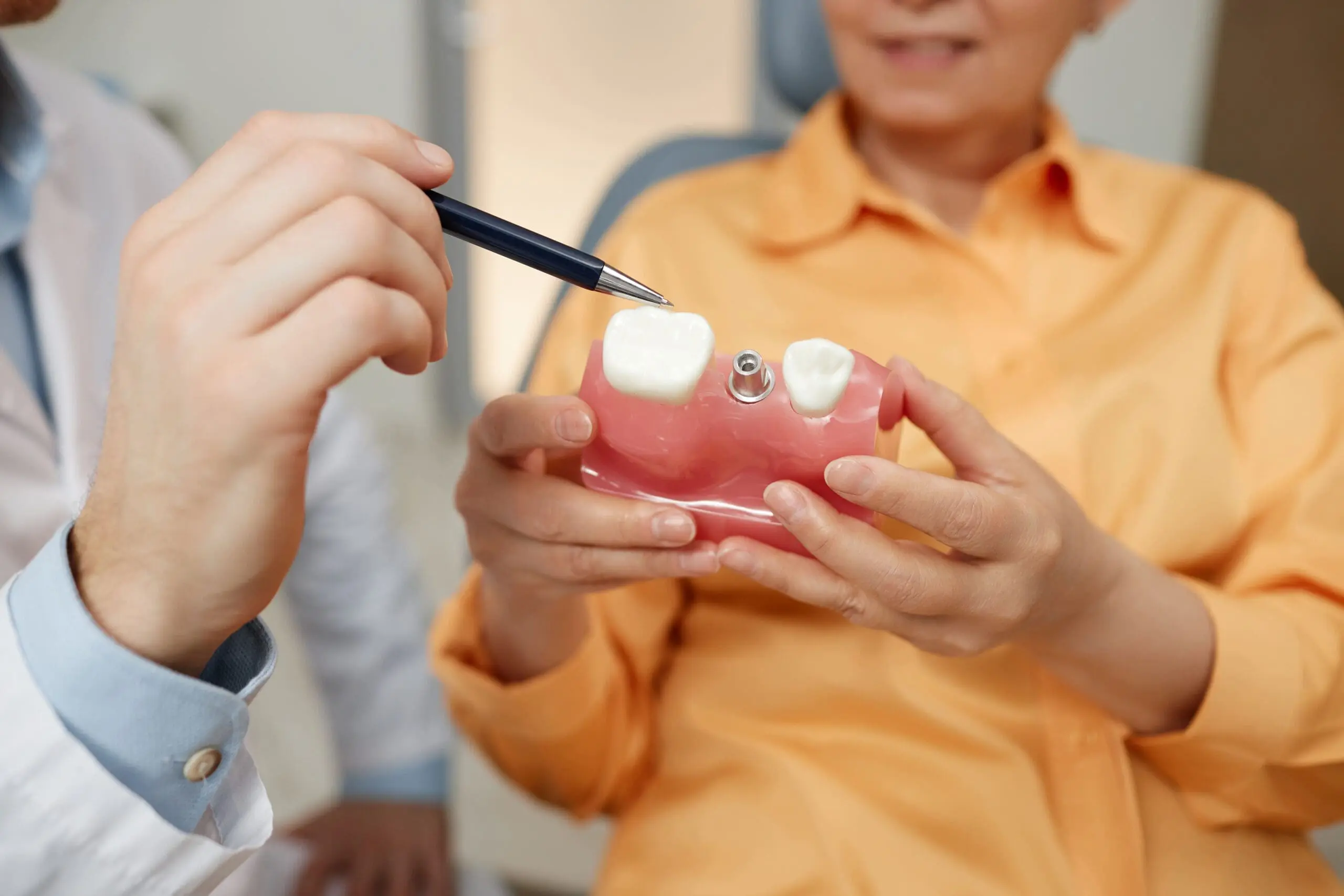 Closeup of unrecognizable dentist pointing at tooth model