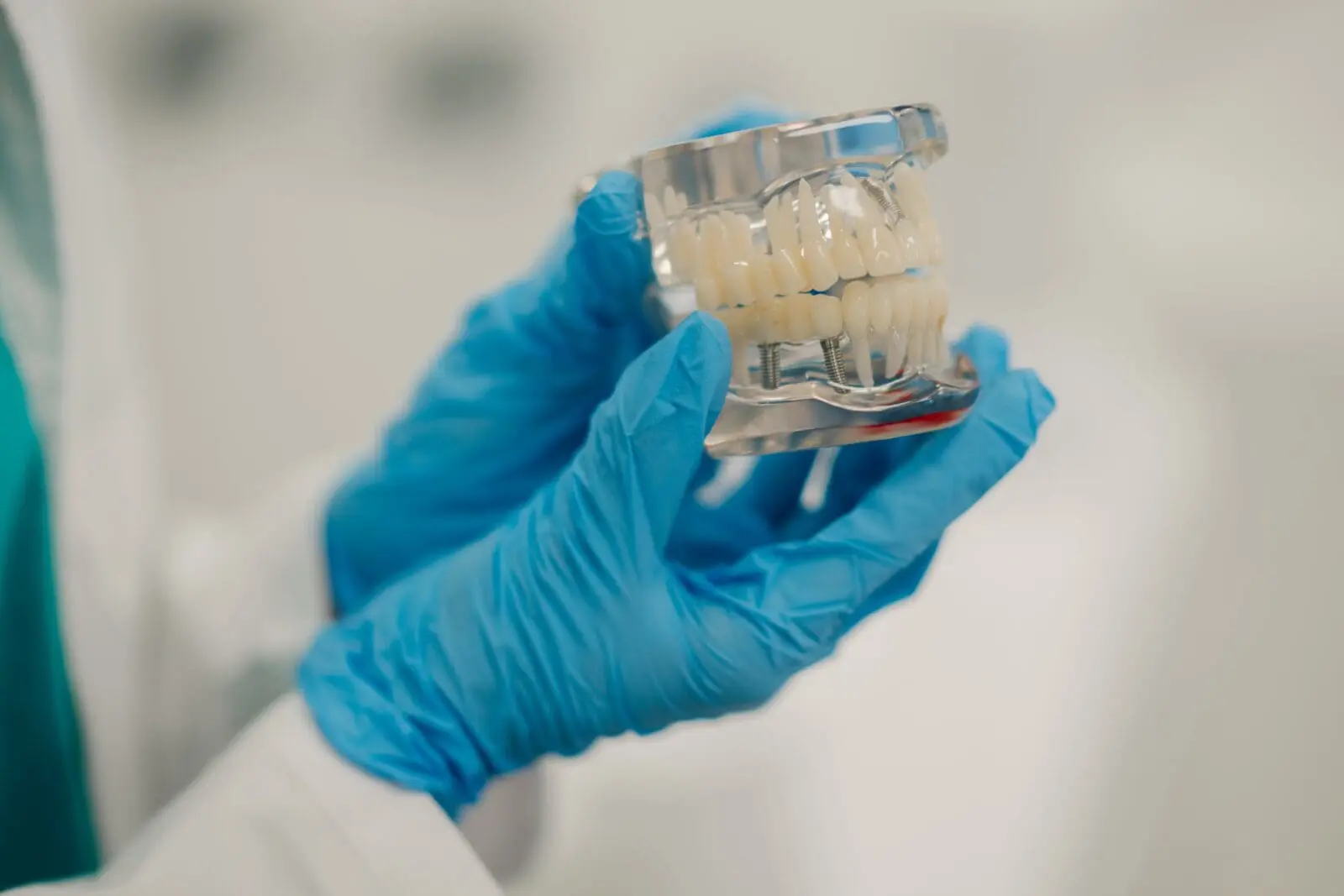 Dentist holding teeth model in dental clinic