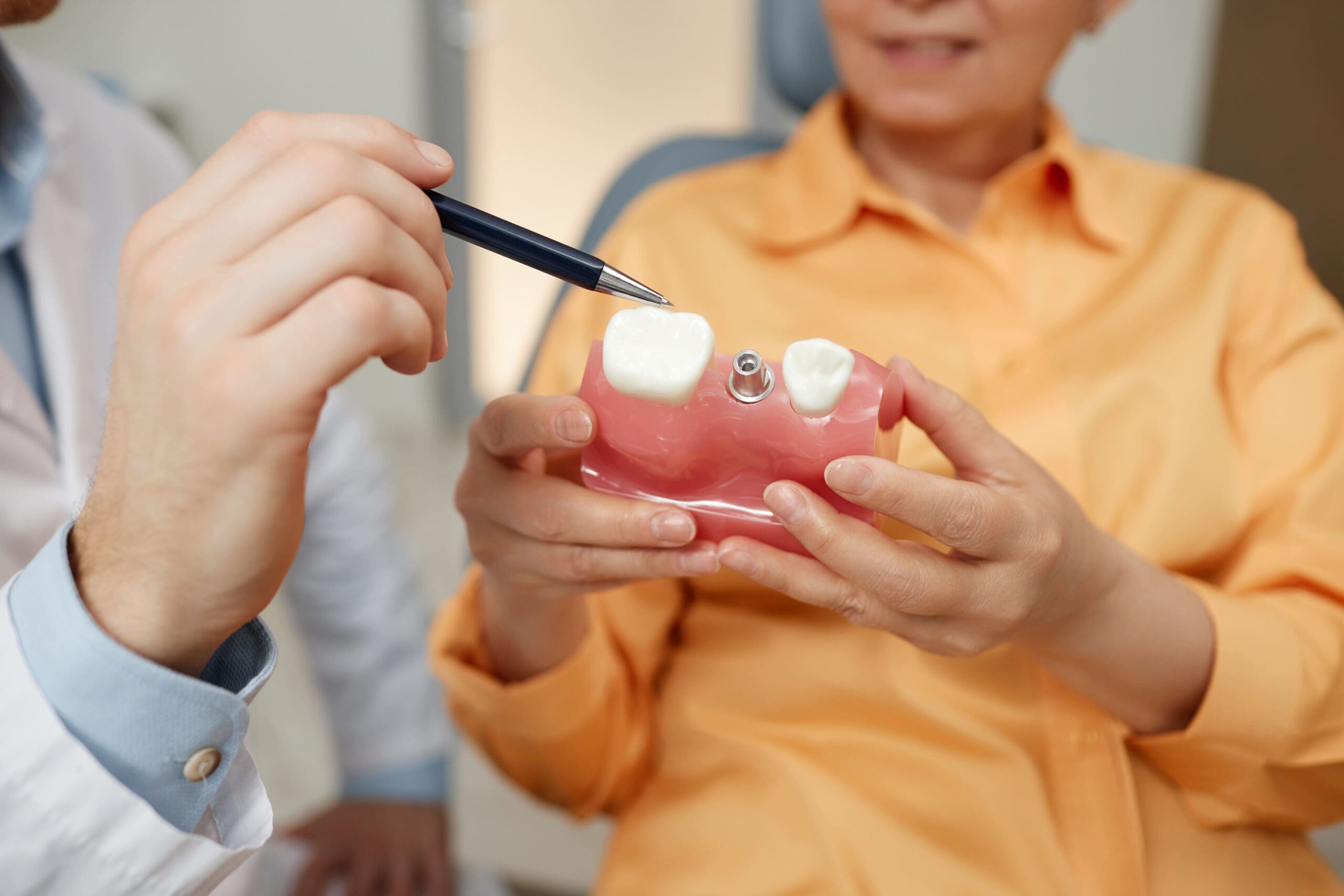 Closeup of unrecognizable dentist pointing at tooth model